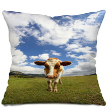 Great Cow Photographed With A Fisheye Lens Pillows 72236749