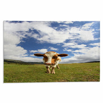 Great Cow Photographed With A Fisheye Lens Rugs 72236749