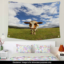 Great Cow Photographed With A Fisheye Lens Wall Art 72236749