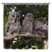 Great Grey Owl Bath Decor 68114637