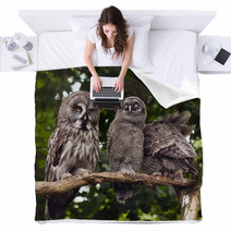 Great Grey Owl Blankets 68114637