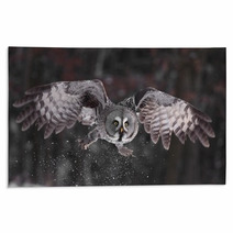 Great Grey Owl Lat. Strix Nebulosa Rugs 40033487