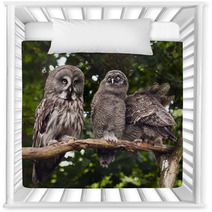 Great Grey Owl Nursery Decor 68114637