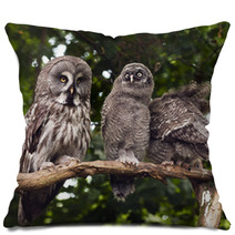 Great Grey Owl Pillows 68114637