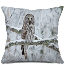 Great Grey Owl (Strix Nebulosa) Perched In A Tree Pillows 61682930