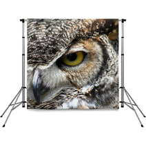 Great Horned Owl Eye Closeup Backdrops 8595118