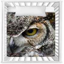 Great Horned Owl Eye Closeup Nursery Decor 8595118
