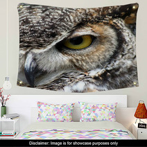 Great Horned Owl Eye Closeup Wall Art 8595118