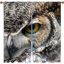 Great Horned Owl Eye Closeup Window Curtains 8595118