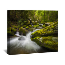 Great Smoky Mountains National Park Gatlinburg TN Waterfalls Wall Art 48384499