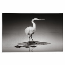 Great White Egret On Hippo Rugs 46723853
