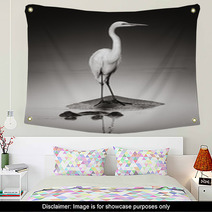 Great White Egret On Hippo Wall Art 46723853