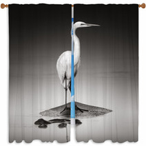 Great White Egret On Hippo Window Curtains 46723853