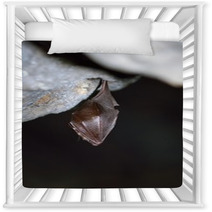 Greater Horseshoe Bat( Rhinolophus Ferrumequinum) Nursery Decor 77515692