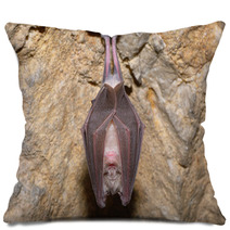 Greater Horseshoe Bat( Rhinolophus Ferrumequinum) Pillows 74484661