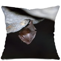 Greater Horseshoe Bat( Rhinolophus Ferrumequinum) Pillows 77515692