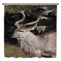 Greater Kudu (Tragelaphus Strepsiceros). Bath Decor 92088106