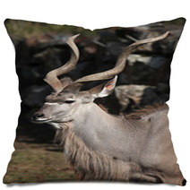 Greater Kudu (Tragelaphus Strepsiceros). Pillows 92088106