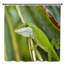 Green Anole Lizard (Anolis Carolinensis), Hawaii. Bath Decor 61472361