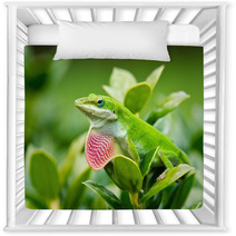Green Anole Lizard (Anolis Carolinensis) Showing Off Pink Dewlap Nursery Decor 54286821