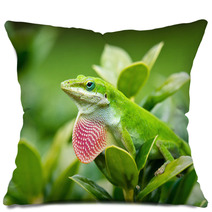 Green Anole Lizard (Anolis Carolinensis) Showing Off Pink Dewlap Pillows 54286821