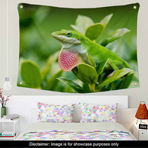 Green Anole Lizard (Anolis Carolinensis) Showing Off Pink Dewlap Wall Art 54286821