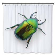 Green Beetle Bath Decor 53500605