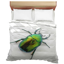 Green Beetle Bedding 53500605