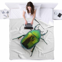 Green Beetle Blankets 53500605