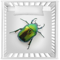 Green Beetle Nursery Decor 53500605