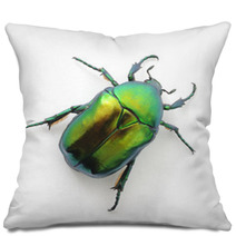 Green Beetle Pillows 53500605