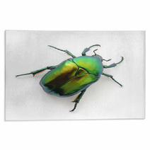 Green Beetle Rugs 53500605