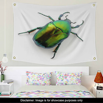 Green Beetle Wall Art 53500605