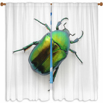 Green Beetle Window Curtains 53500605