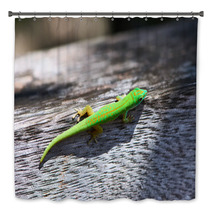 Green Gecko Bath Decor 67289252