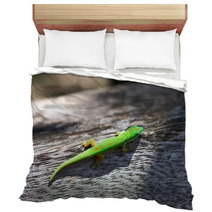 Green Gecko Bedding 67289252