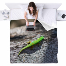 Green Gecko Blankets 67289252