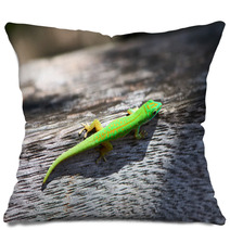 Green Gecko Pillows 67289252