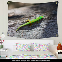 Green Gecko Wall Art 67289252