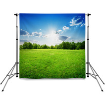 Green Grass And Trees Backdrops 67056802