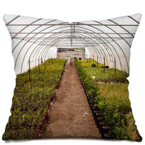 Green House Pillows 68071170