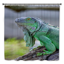 Green Iguana Bath Decor 56098338