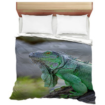 Green Iguana Bedding 56098338