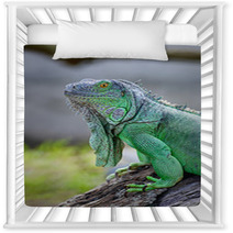 Green Iguana Nursery Decor 56098338