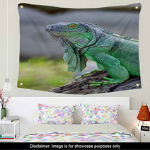 Green Iguana Wall Art 56098338