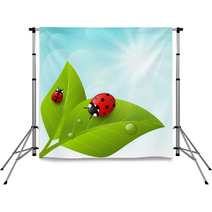 Green Leaves On Sunny Background Backdrops 64973355