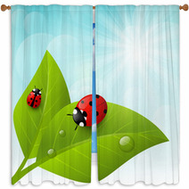 Green Leaves On Sunny Background Window Curtains 64973355