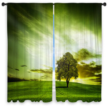 Green Nature Window Curtains 50284867