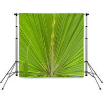 Green Palm Leaf Backdrops 64322658