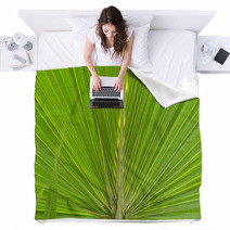 Green Palm Leaf Blankets 64322658